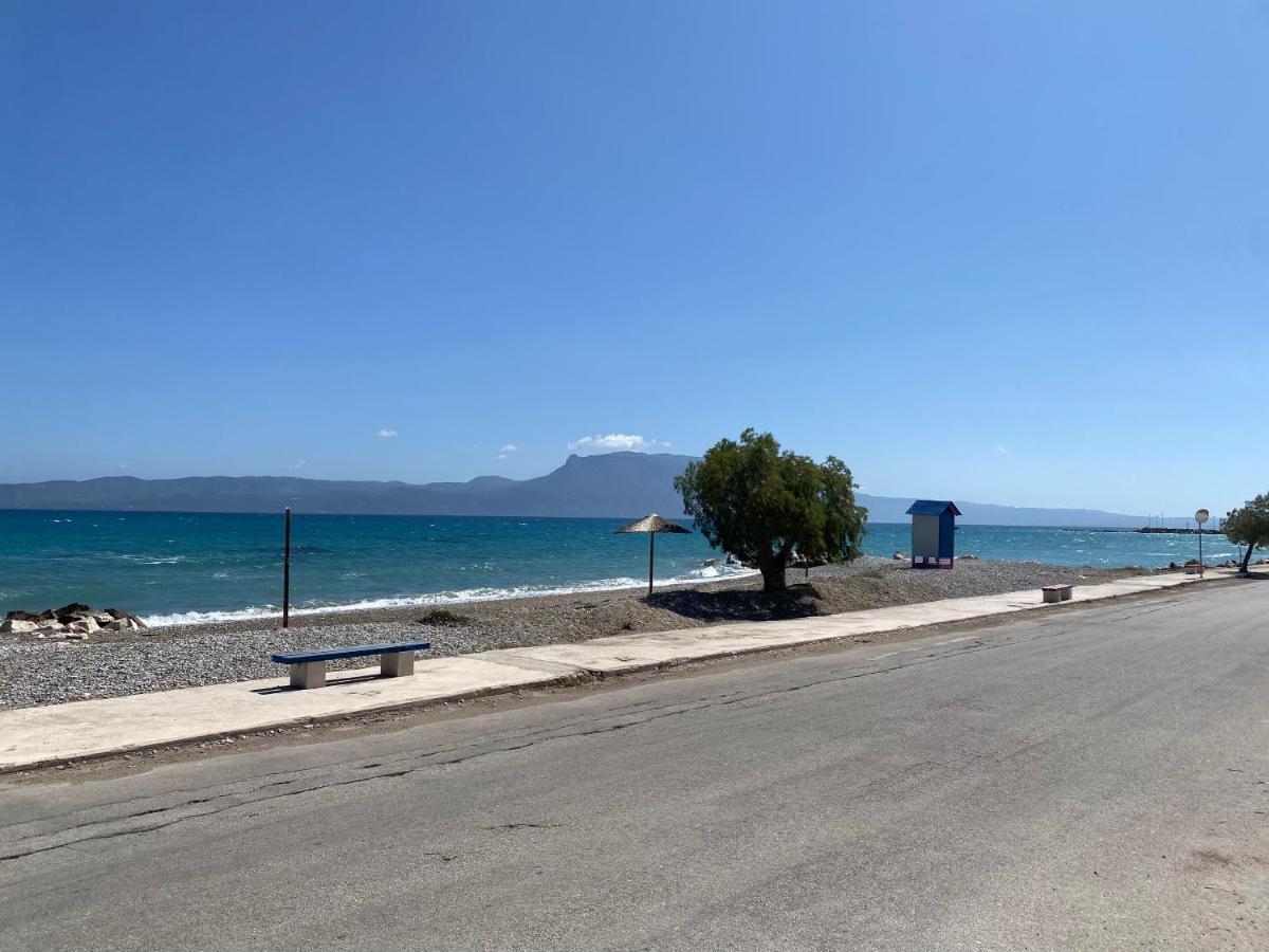 Alexia'S Beach House Kato Assos Екстер'єр фото